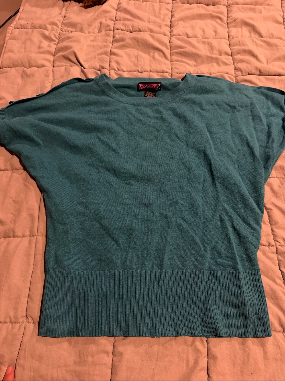 Say What? Teal Crewneck Short-Sleeve Sweater